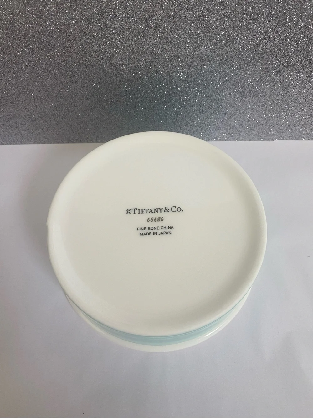 NEW Tiffany & Co. Small Dog Bowl